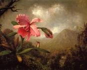 Orchid and Hummingbird near a Mountain Waterfall - 马丁·约翰逊·赫德